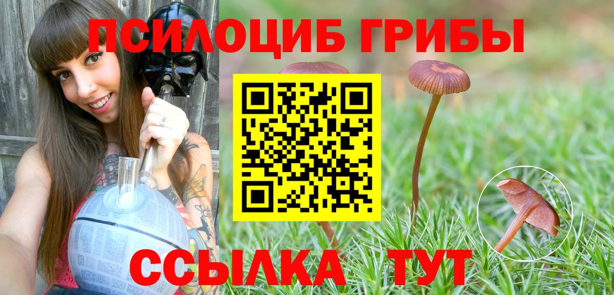 Галлюциногенные грибы MAGIC MUSHROOMS Янаул