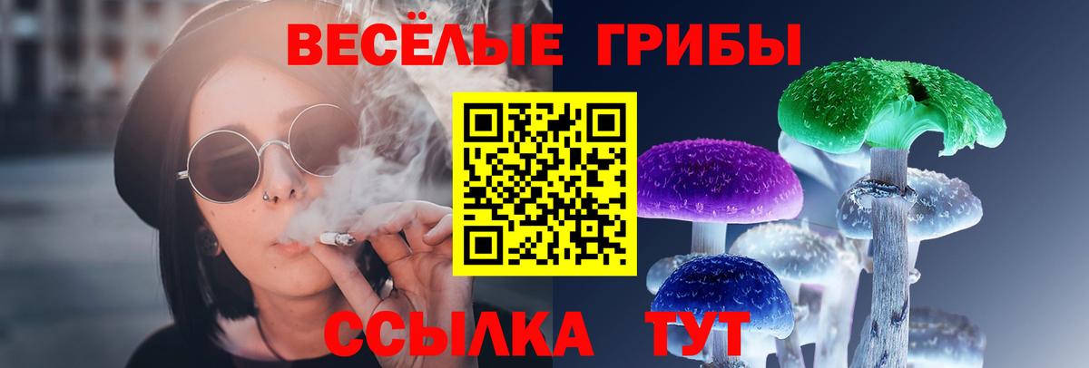 Галлюциногенные грибы Magic Shrooms  Псилоцибиновые грибы Psilocybine cubensis  Вход с VPN  Янаул 